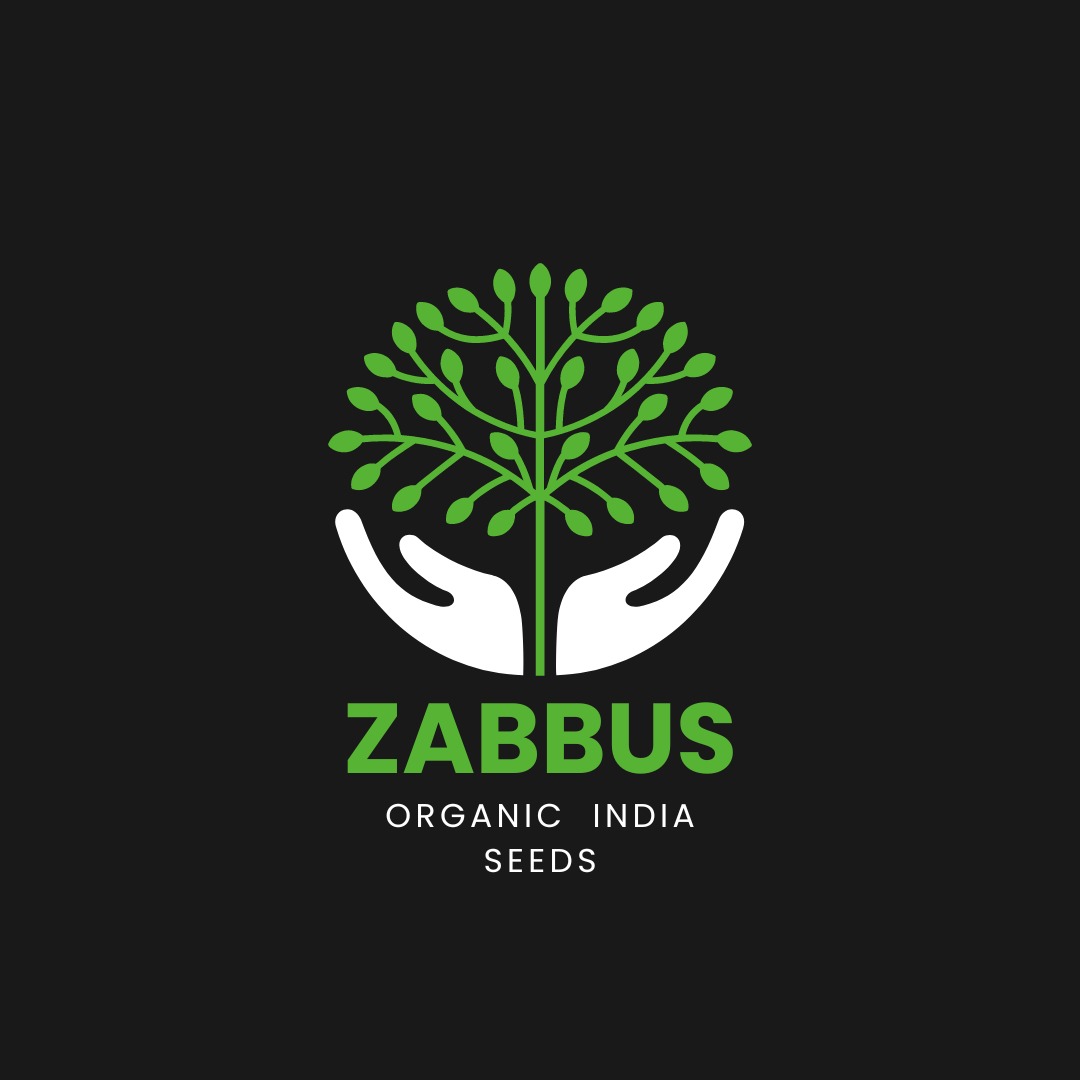 zabbus.com